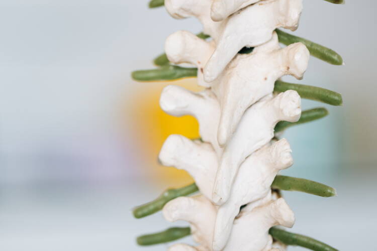Praxisfotografie, Detailaufnahmen – by meinpraxisauftritt.ch